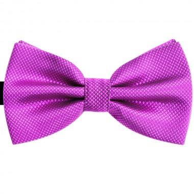  Papion violet, elegant, model Candy Rose