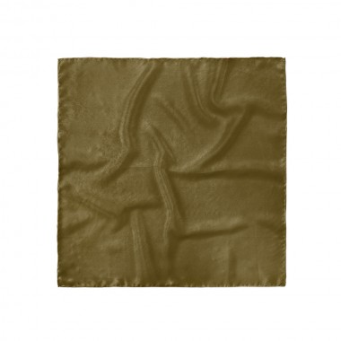 Batistă costum, maro-bronz
