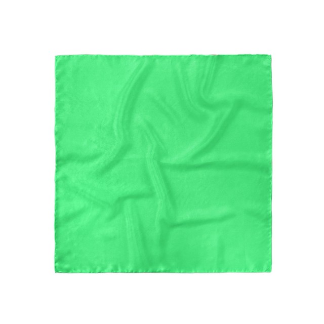 Batistă costum, verde mentă