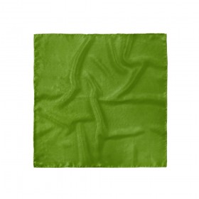 Batistă costum, verde avocado