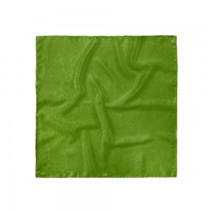 Batistă costum, verde avocado