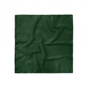 Batistă costum, verde englez