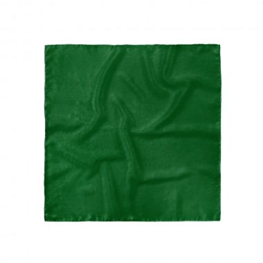 Batistă costum, verde imperial