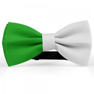 Papion bicolor, verde-alb