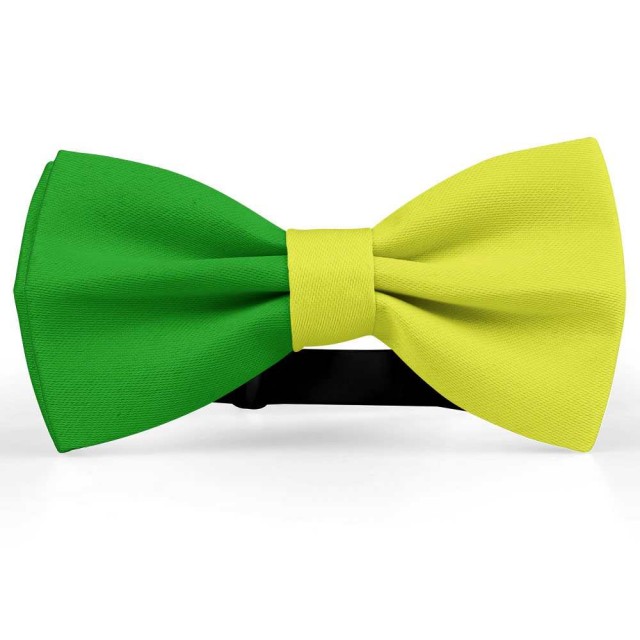 Papion bicolor, galben-verde