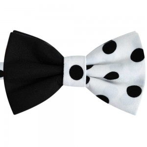 Papion bicolor negru -alb cu buline negre