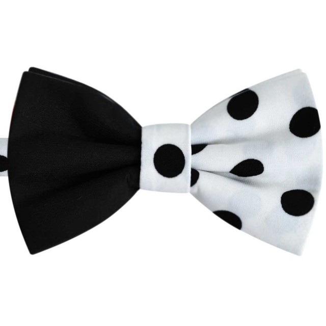 Papion bicolor negru -alb cu buline negre