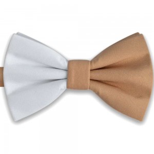 Papion bicolor, elegant, combinatie discreta alb - bej