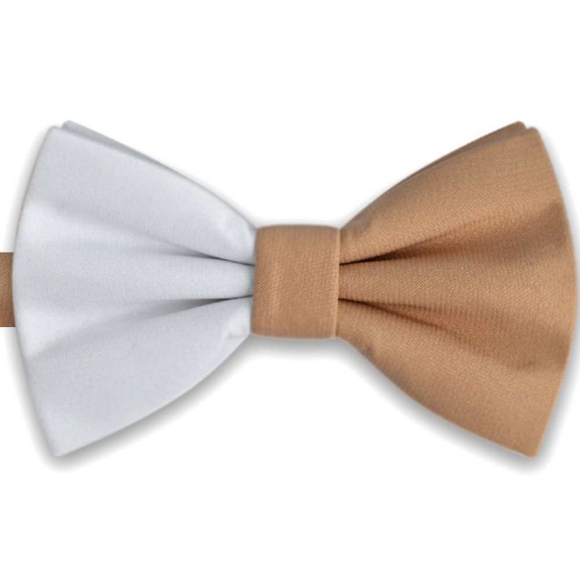 Papion bicolor, elegant, combinatie discreta alb - bej