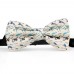 Papion personalizat, model avioane de pasageri