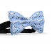 Papion personalizat, model, "Blue Airplane"