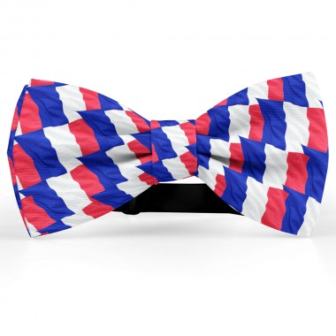 Papion, "Steagul Frantei"
