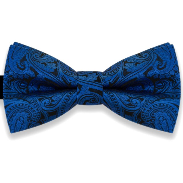 .Papion negru, elegant, model albastru Luxury Line