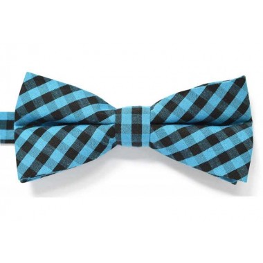 Papion bleu CLARA