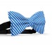 Papion butterfly, albastru-denim, imprimeu dungi albe inguste