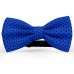 Papion albastru cobalt, buline mici