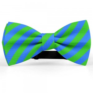 Papion barbati, albastru-electric, dungi oblice verde-mar