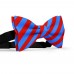 Papion butterfly, albastru-imperial, dungi late rosu-mac
