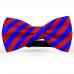 Papion butterfly, albastru-primar, dungi late rosu-mac