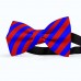 Papion butterfly, albastru-primar, dungi late rosu-mac
