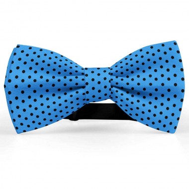 Papion albastru regal, buline mici