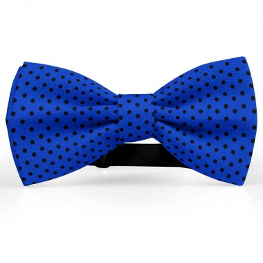 Papion albastru safir, buline mici