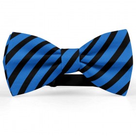 Papion barbati, albastru-denim, dungi negre late oblice