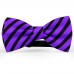 Papion barbati, violet-indigo, dungi negre late oblice