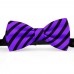 Papion barbati, violet-indigo, dungi negre late oblice