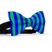 Papion bicolor, verde muschi-albastru primar, dungi late verticale