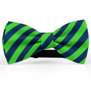 Papion barbati, bleumarin, dungi oblice verde-mar