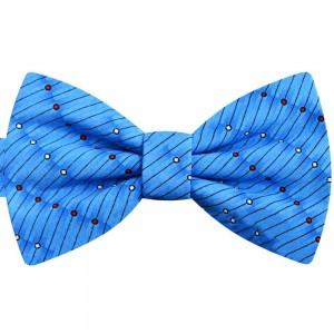 Papion albastru electric, buline albe, butterfly
