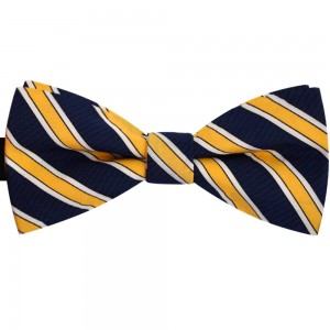 Papion bleumarin, clasic, dungi diverse dimensiuni