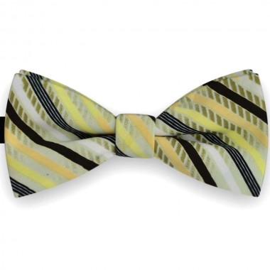 Papion barbati multicolor, imprimeu linii oblice 