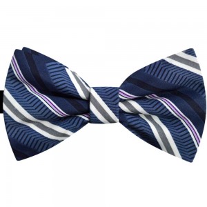Papion albastru Lapis-lazuli, print dungi diverse dimensiuni