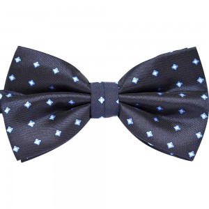 Papion bleumarin, patratele bleu, DACEY