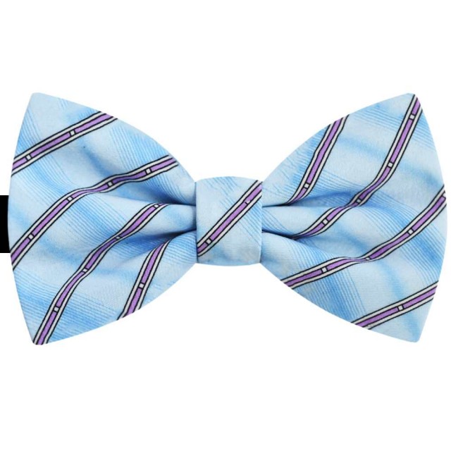 Papion bleu, dungi lila, butterfly