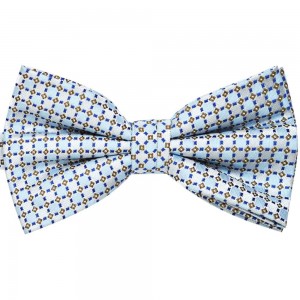 Papion bleu LAURO