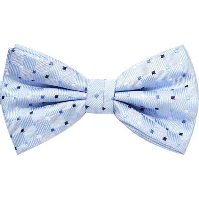 Papion bleu LEONE