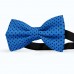 Papion albastru-denim, buline mici