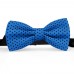 Papion albastru-denim, buline mici