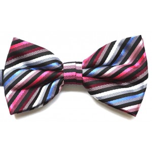 Papion negru cu dungi oblice colorate