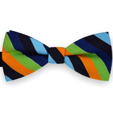 Papion barbati multicolor, clasic, dungi late