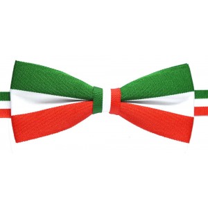 Papion cu dungi orizontale verde alb rosu
