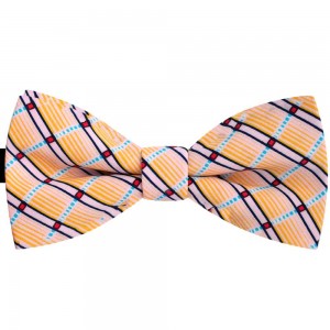 Papion barbati multicolor, clasic, imprimeuri abstracte