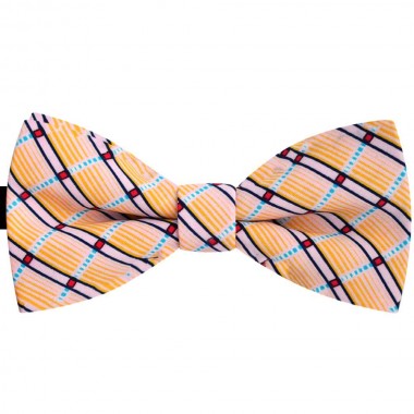 Papion barbati multicolor, clasic, imprimeuri abstracte