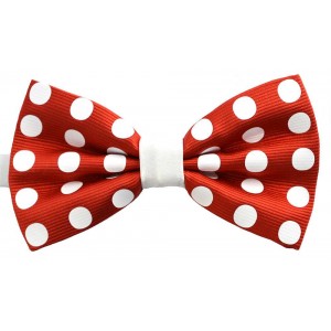 Papion barbati rosu cu buline albe butterfly 
