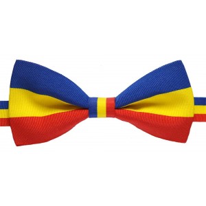 Papion tricolor model 3 