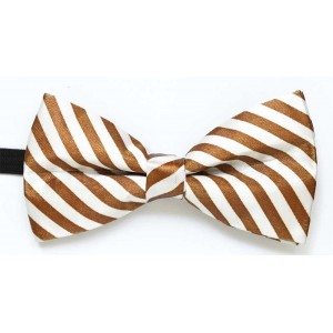 Papion colorat MANFREDO