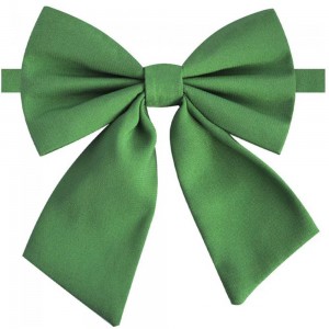 Papion fete, verde mar, model tip funda